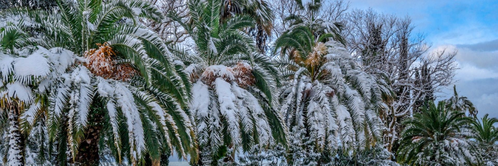 Силен студ и дебел сняг взеха жертви в Африка (галерия)