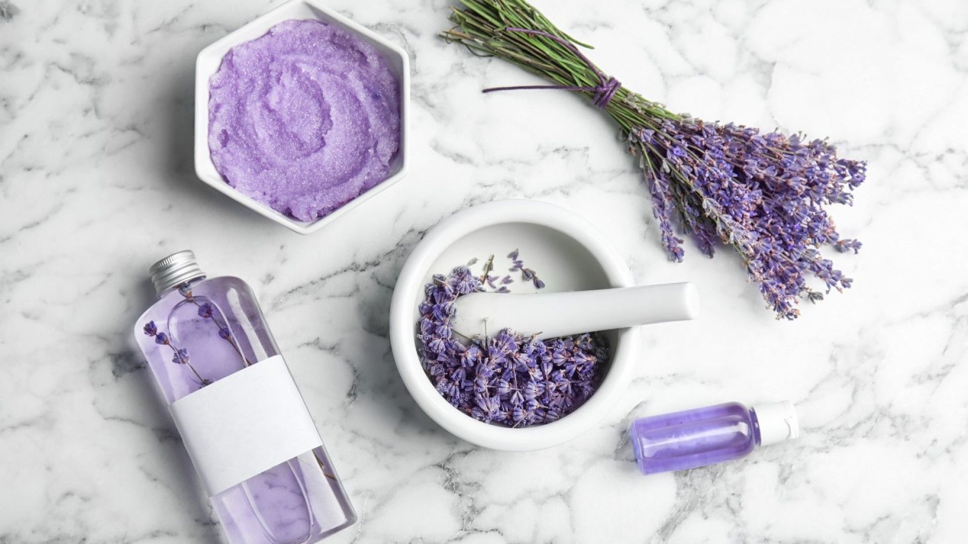 В Добруджа е учредена първата асоциация на производителите на лавандула