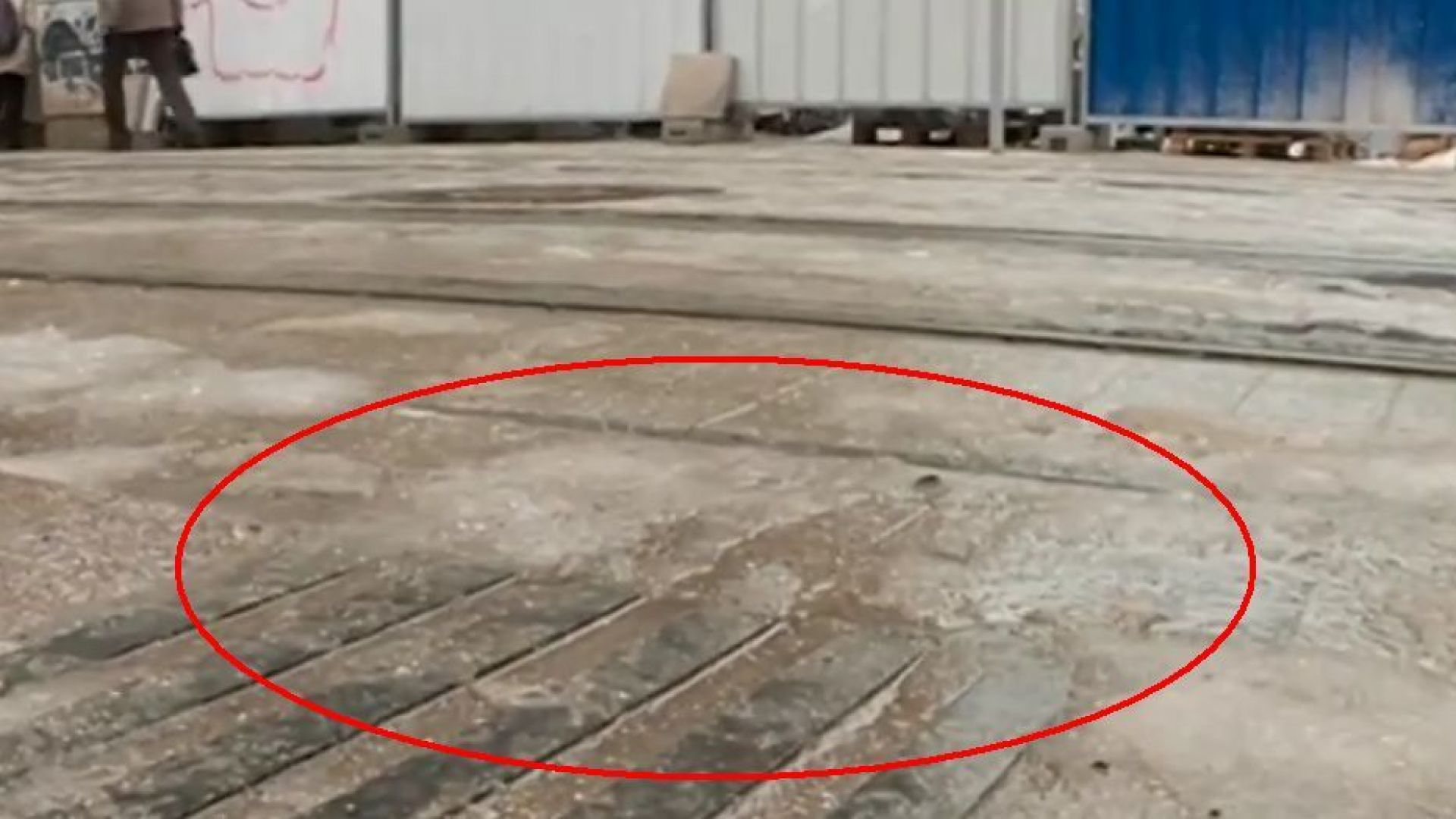 Незрящи сигнализираха за градски абсурд в София Пътна маркировка на