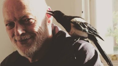 Китара, на която Дейвид Гилмор е свирил в 6 албума на "Пинк Флойд", бе продадена на търг за 14,55 млн. щатски долара