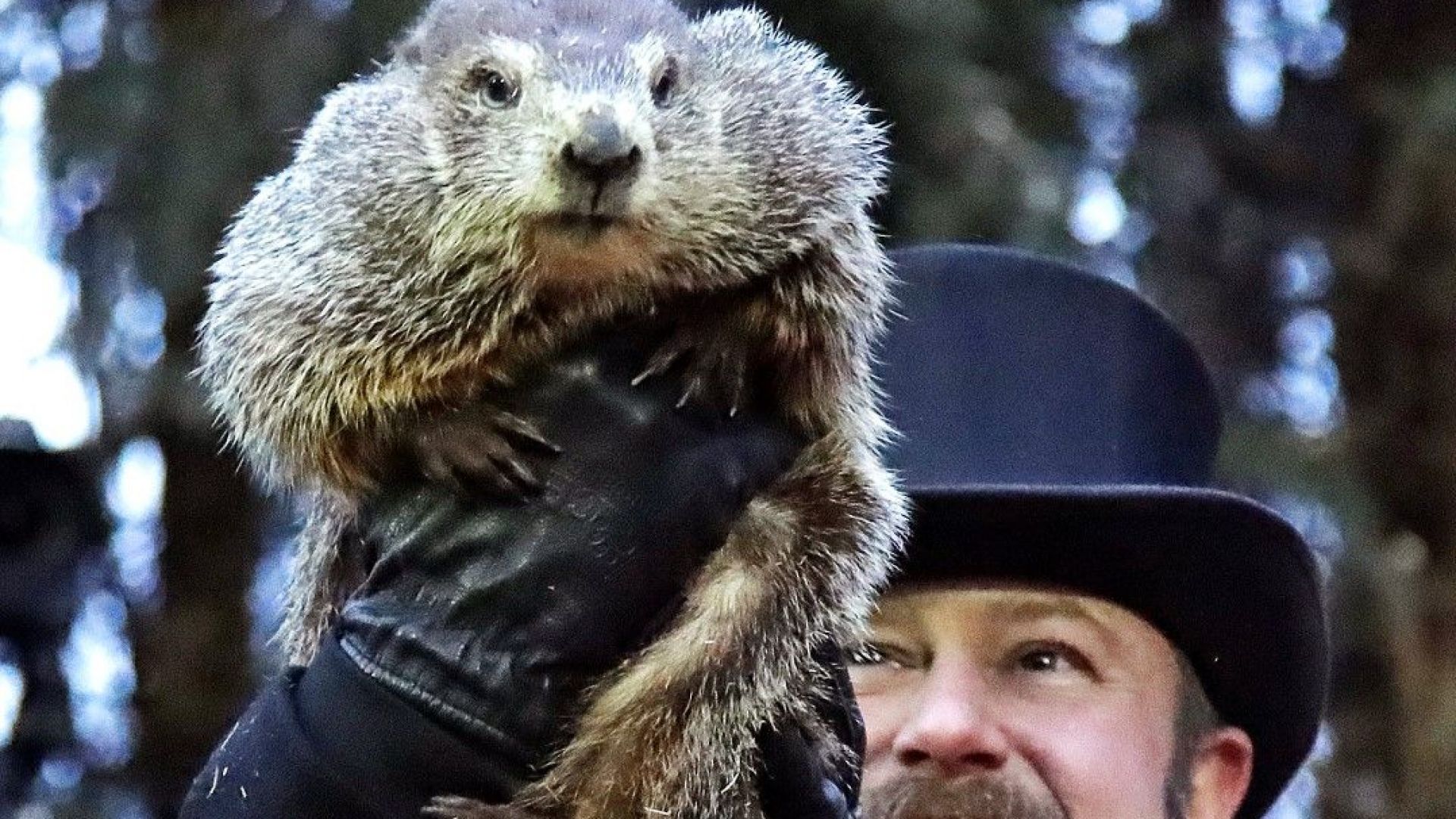 Като се има предвид студеното време в момента в САЩ