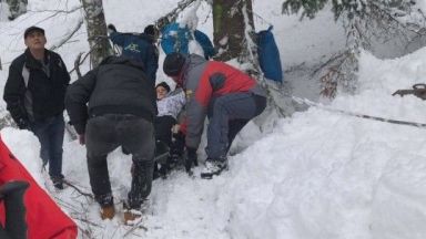 Дърво се стовари върху лифта в Пампорово и събори скиорка