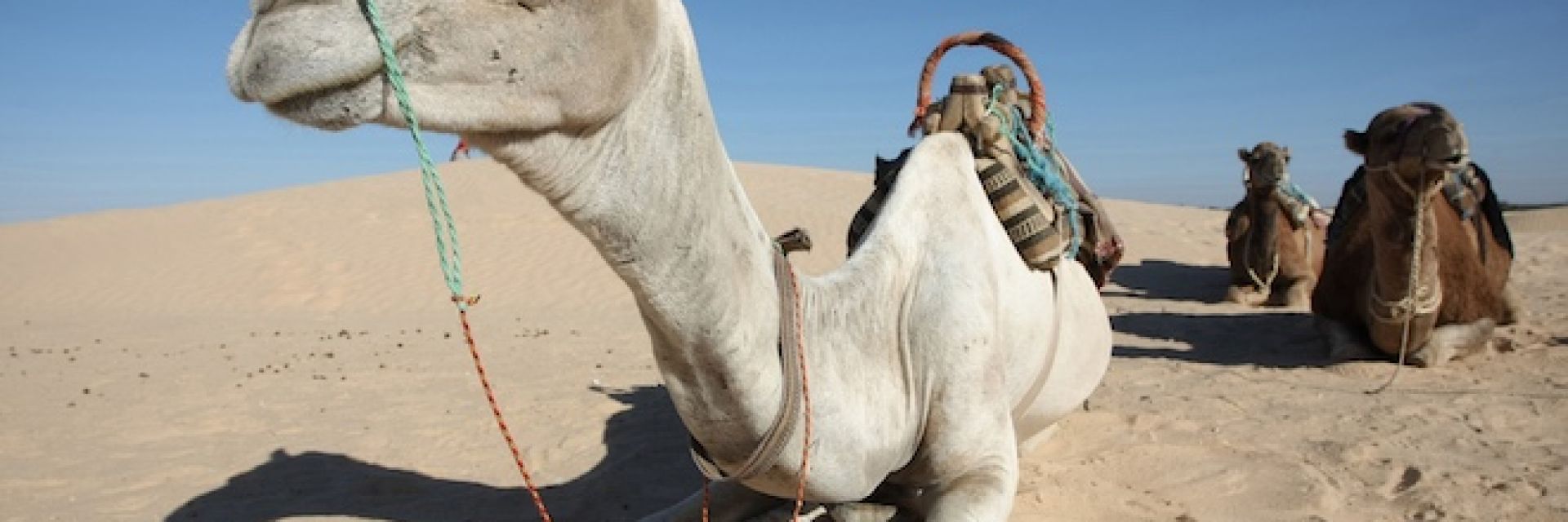 Десетте най-горещи населени места на Земята