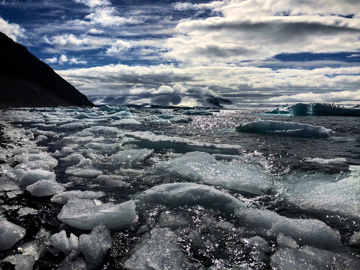 Антарктически летен морски лед