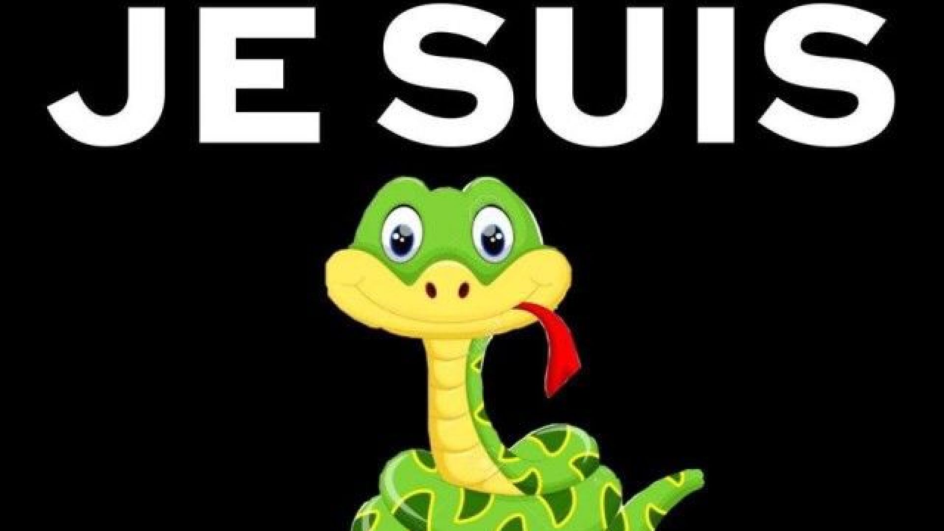 Виж още След 8 часово криене жълтата анаконда се предаде снимка