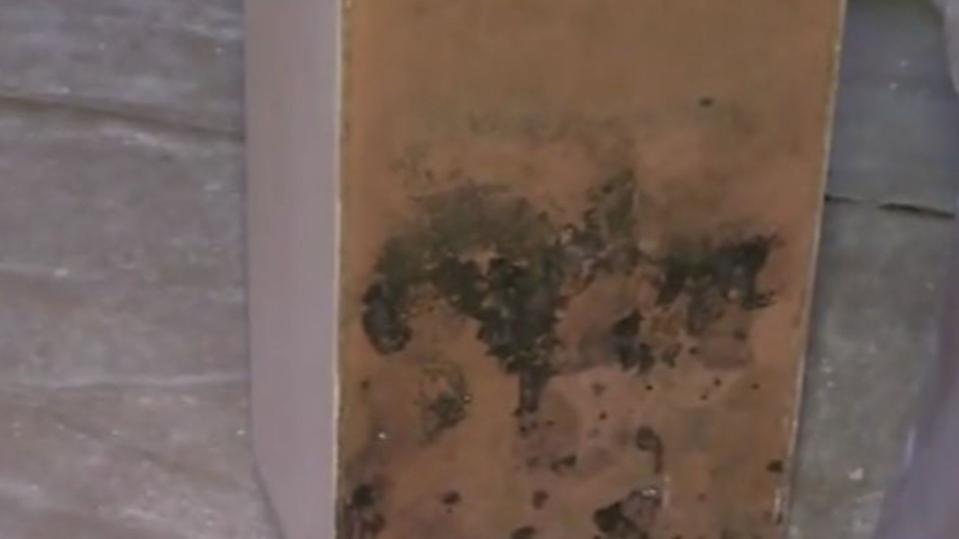 Новопостроеният корпус на детска градина Калина Малина във Варна се