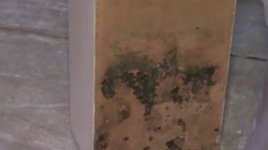 Падаща мазилка и мухъл в нова детска градина във Варна