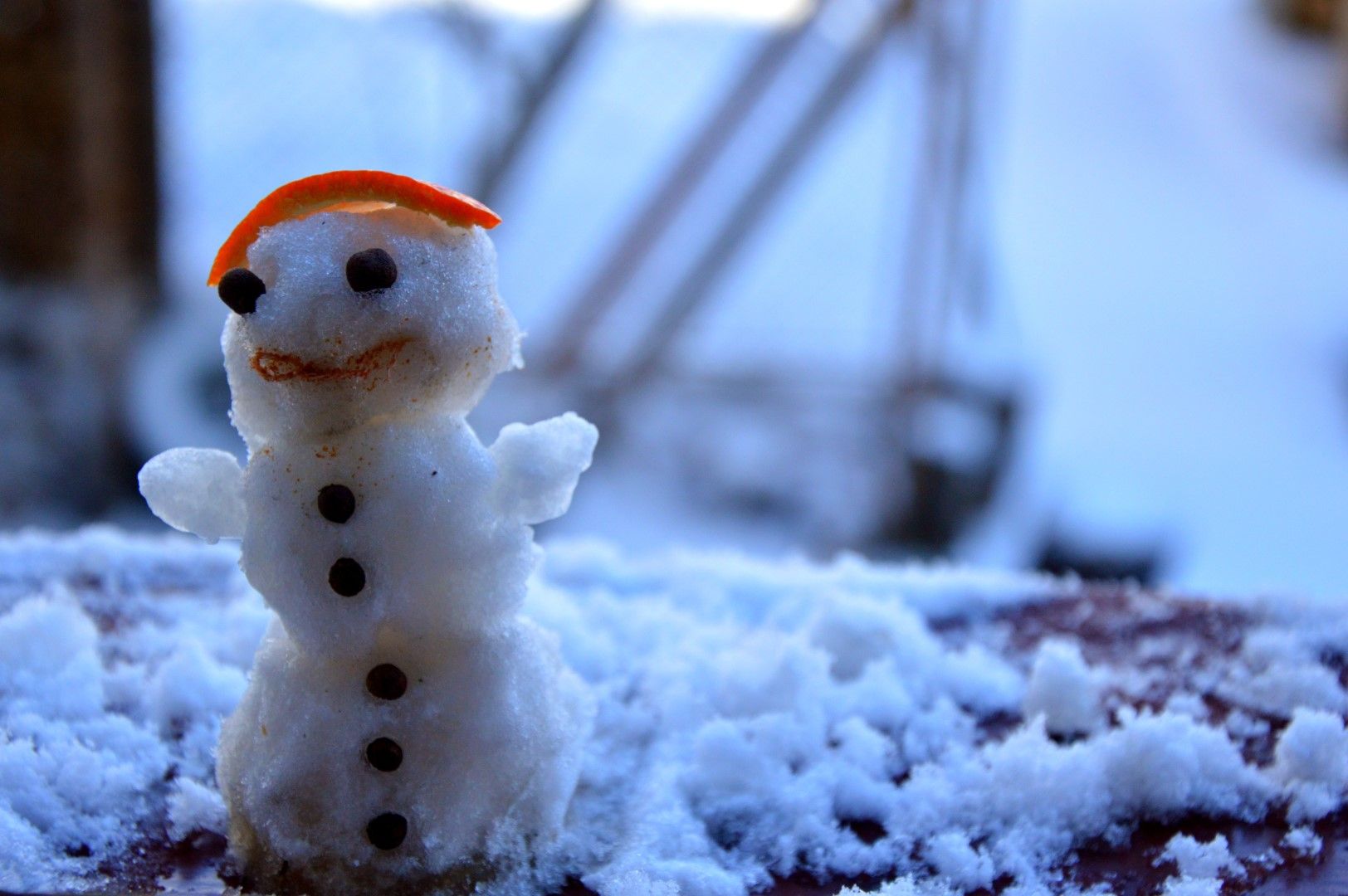 Във вторник в Софийско е възможно да превали сняг, който едва ли ще бъде достатъчен за направа на снежни човеци : )