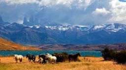 Една от най-красивите дестинации в света търси доброволци и поема всички разходи, ето защо