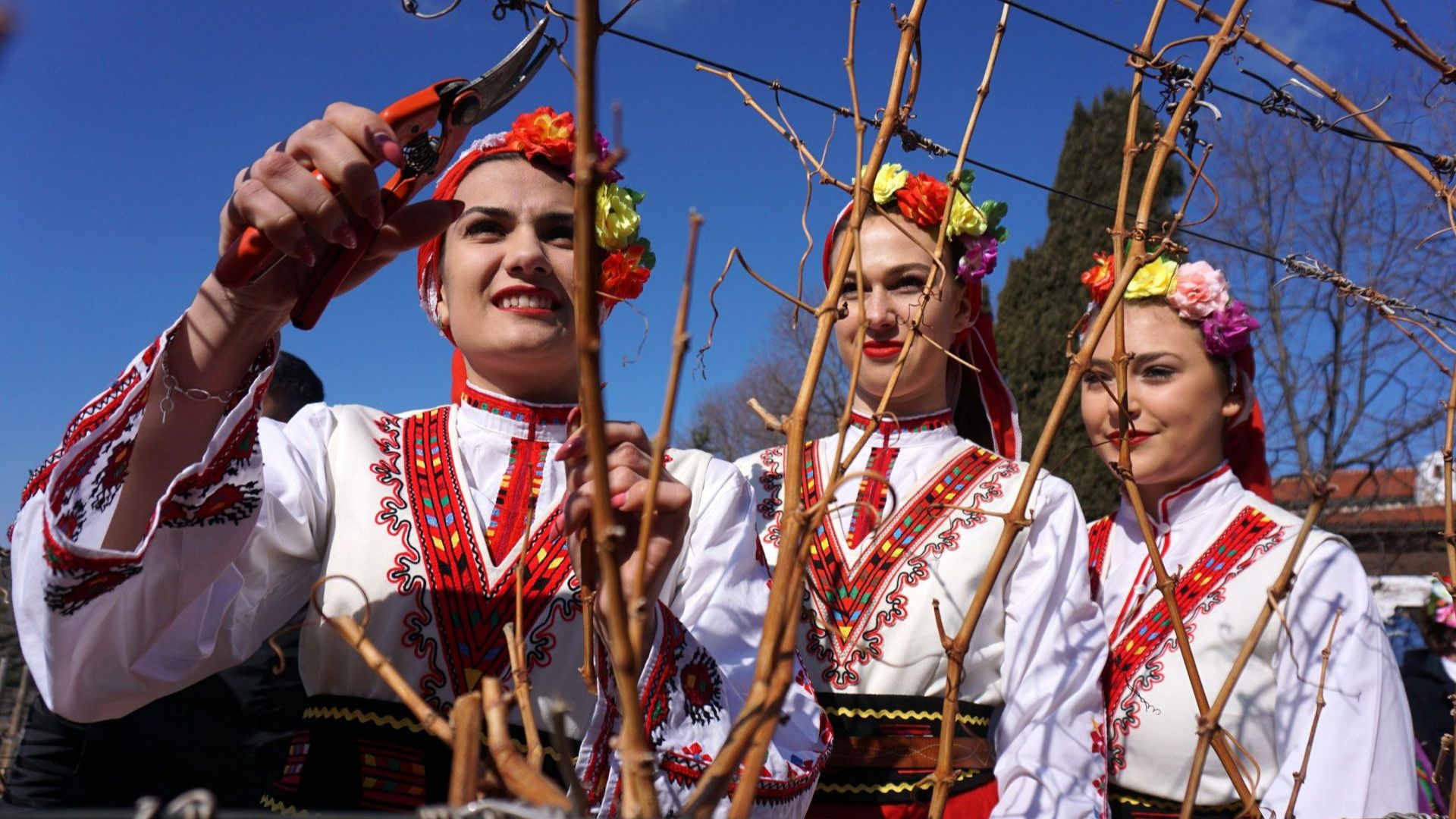 Трифон Зарезан известен и като Ден на лозаря е български