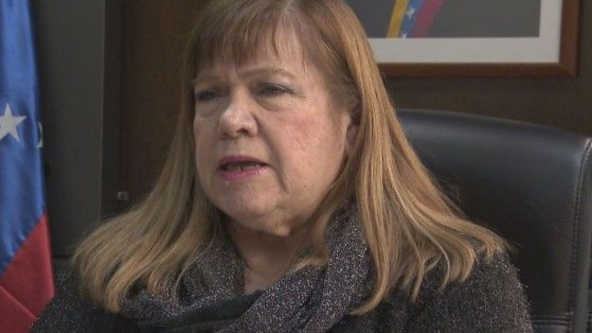 Посланикът на Венецуела в София отхвърля версията че латиноамериканската страна