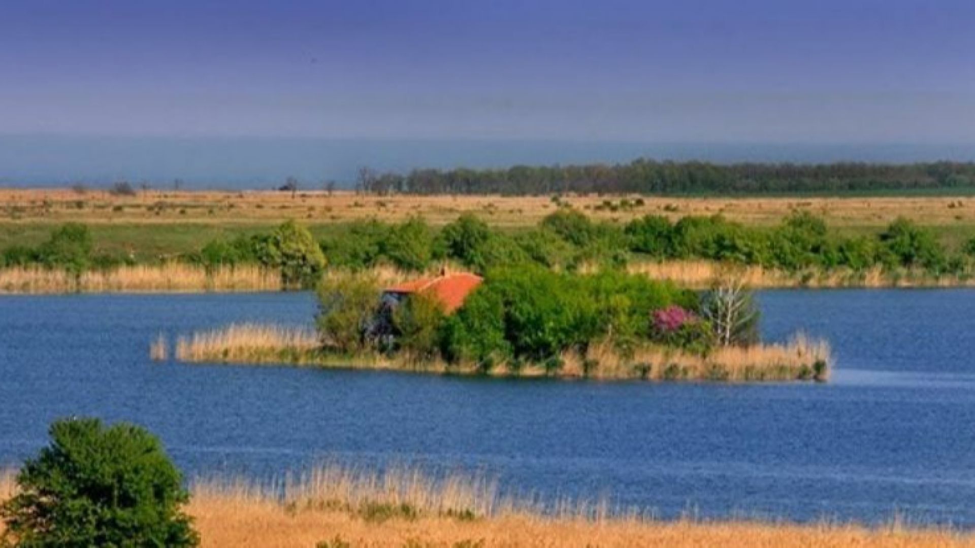 Бракониери стреляха по колата на природозащитници опитали да спрат незаконен