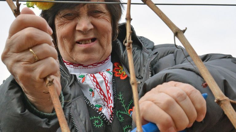 Днес празнуваме Трифон Зарезан. Празникът е посветен на труда и