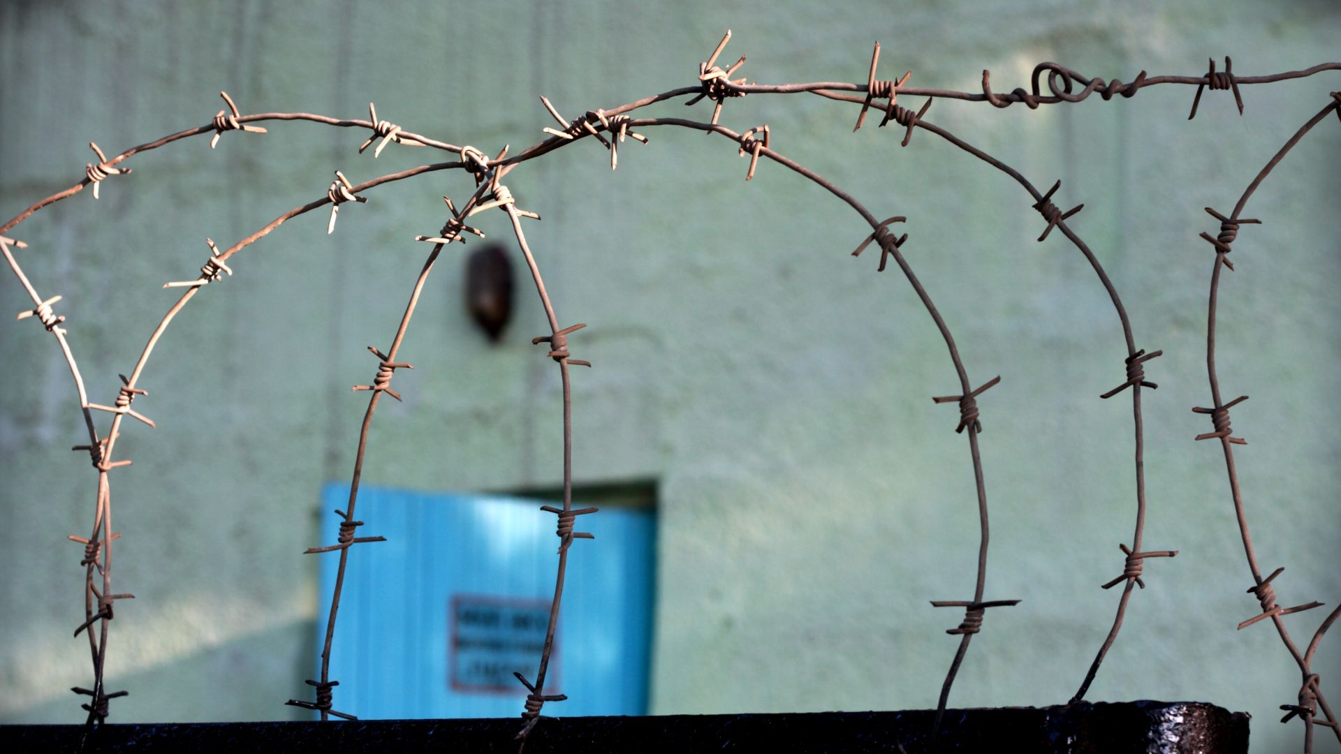 Тричленния апелативен съд в Солун осъди вчера 56 годишния българин Огнян