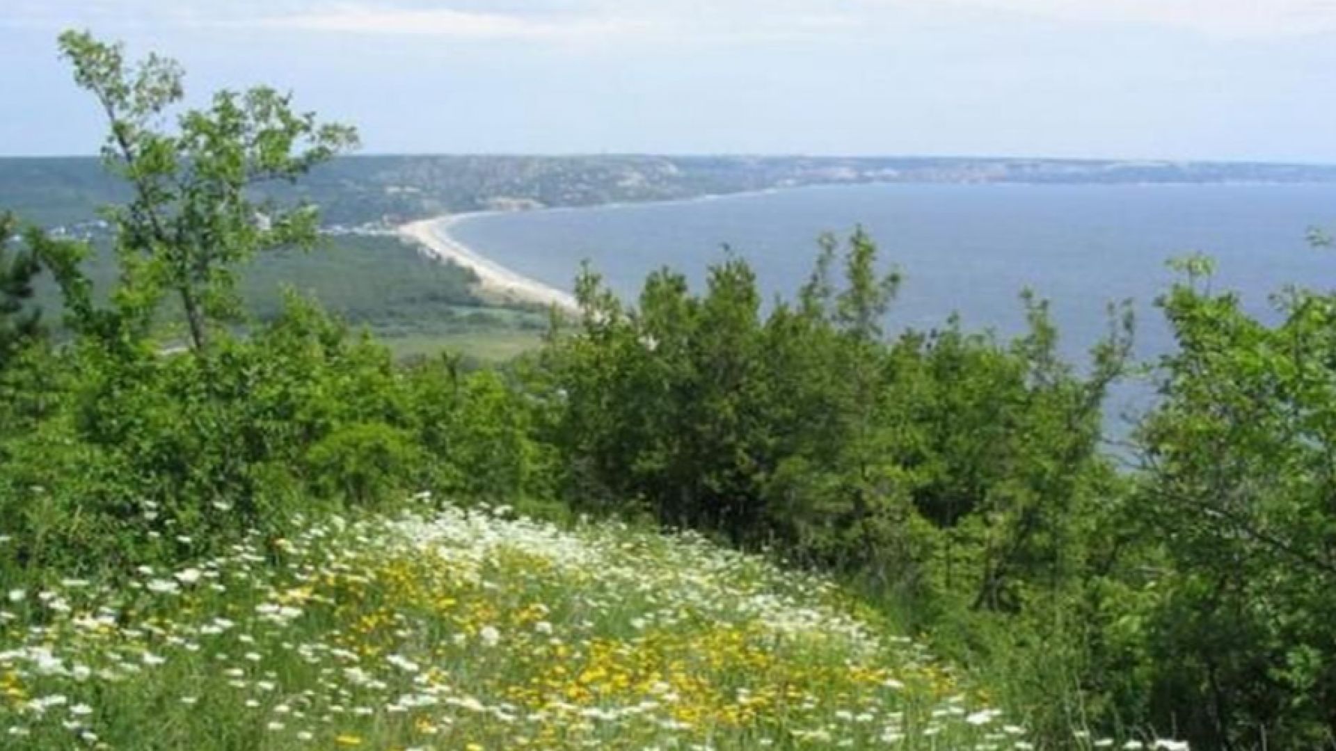 Първото пролетно почистване на природен парк Златни пясъци ще се