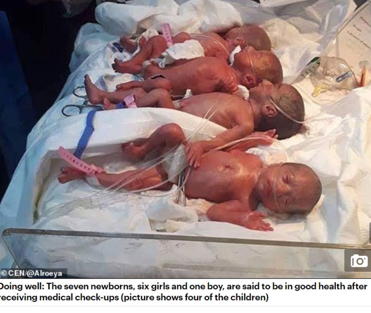 Част от новородените - 6 момиченца и 1 момче