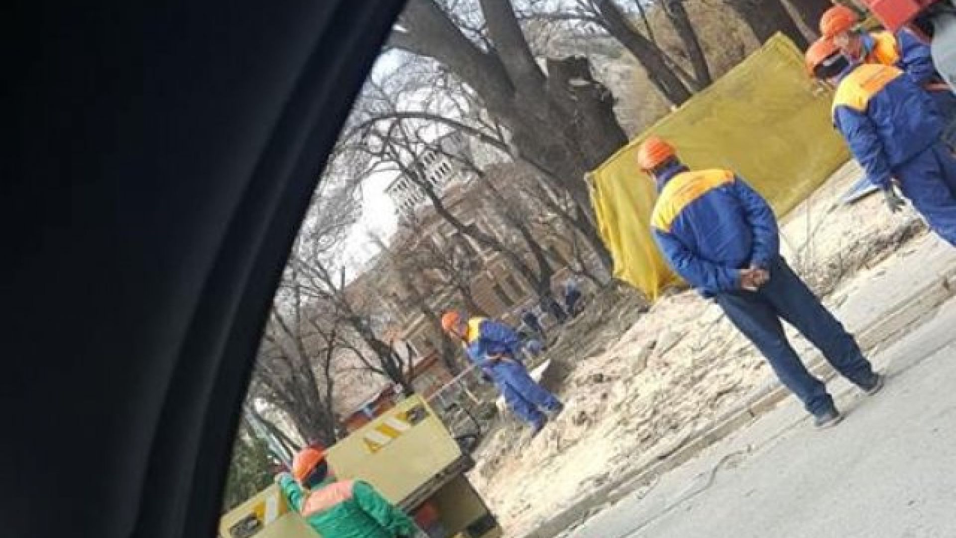 Санитарна сеч на бул Княгиня Мария Луиза в градинката срещу