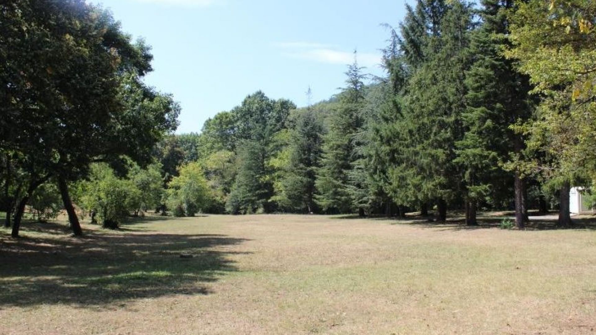 Тялото на обесен мъж е открито тази сутрин в парк