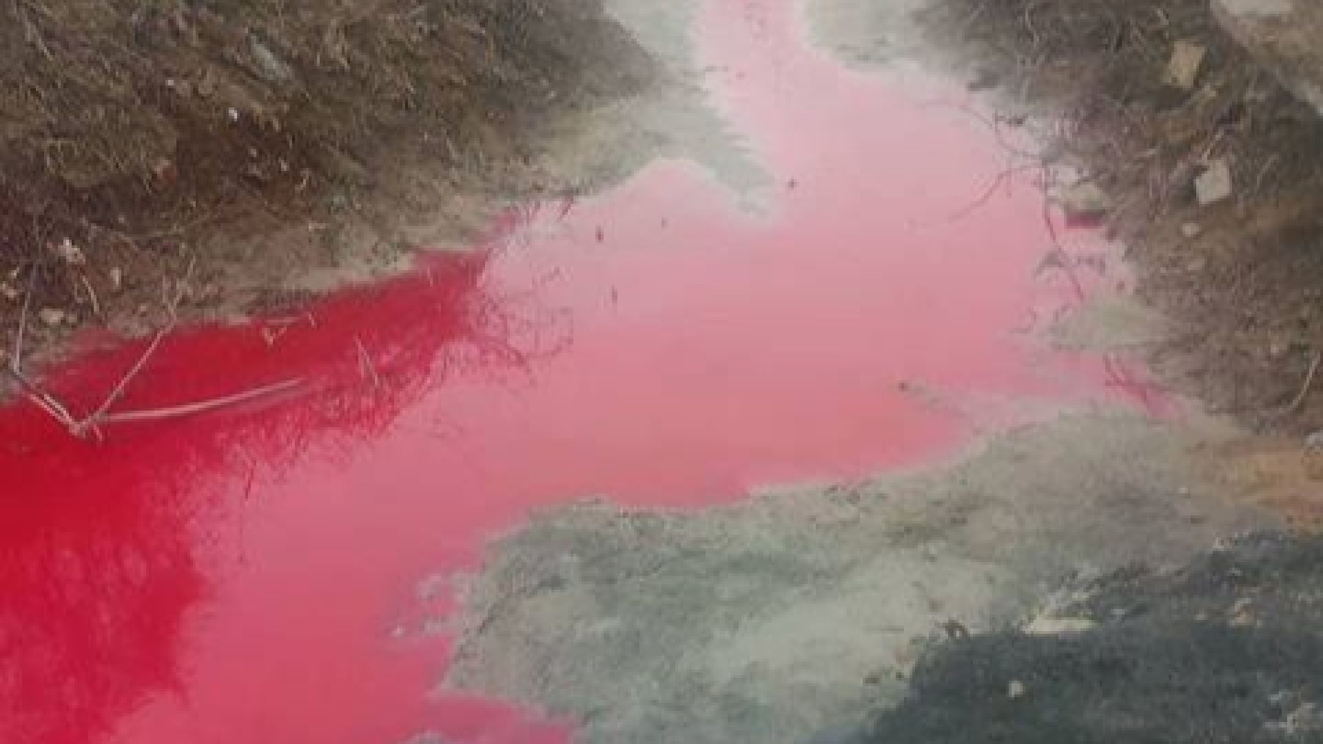 Червена вода се изтича в дерето край ромската махала Максуда