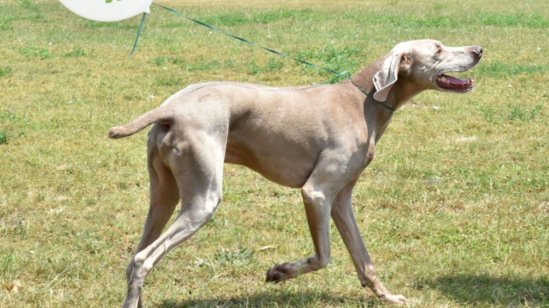 Малко повече от месец остава до крайния срок от 31