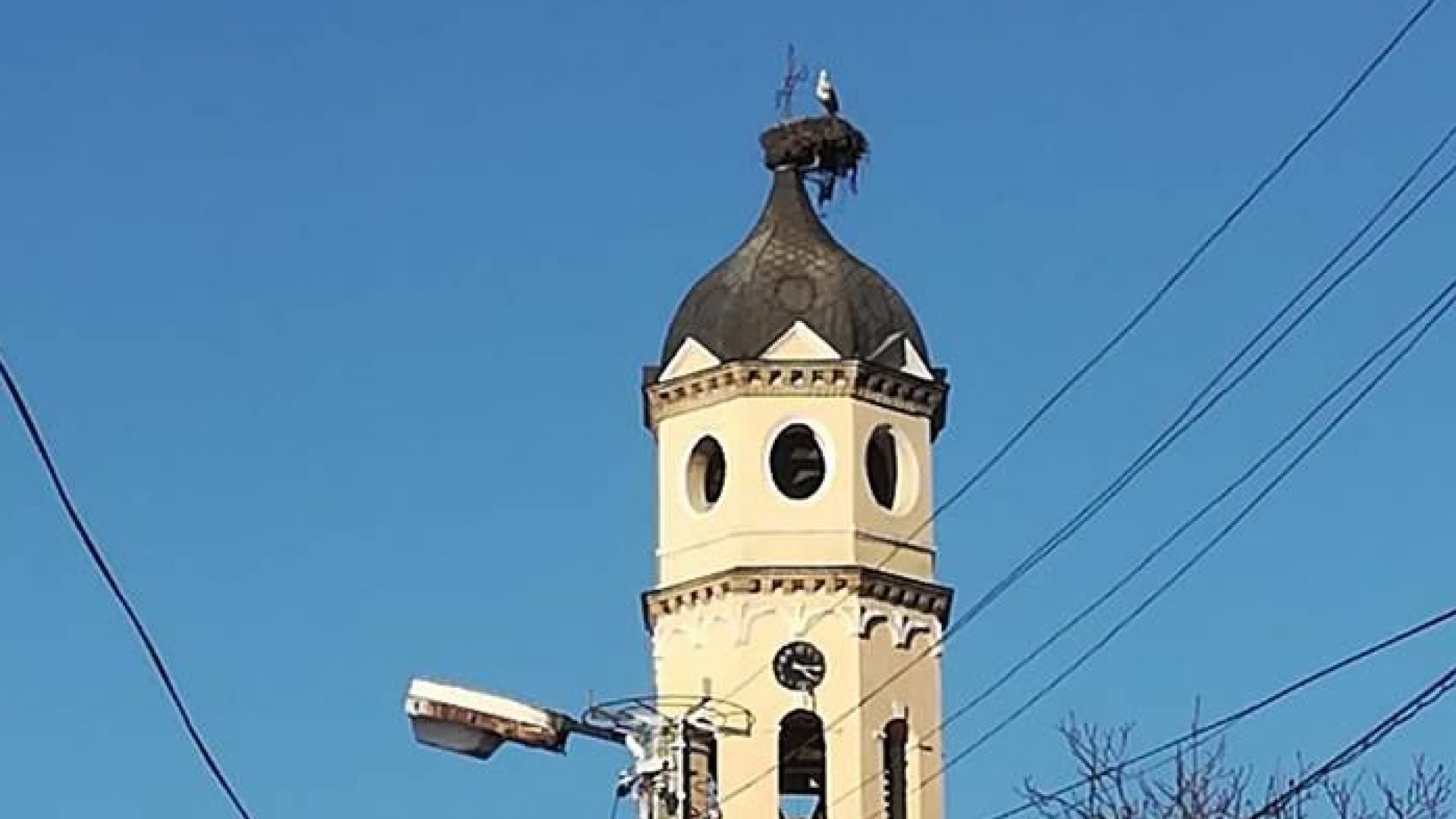 Местните хора вече си честитят пролетта препращайки и споделяйки в