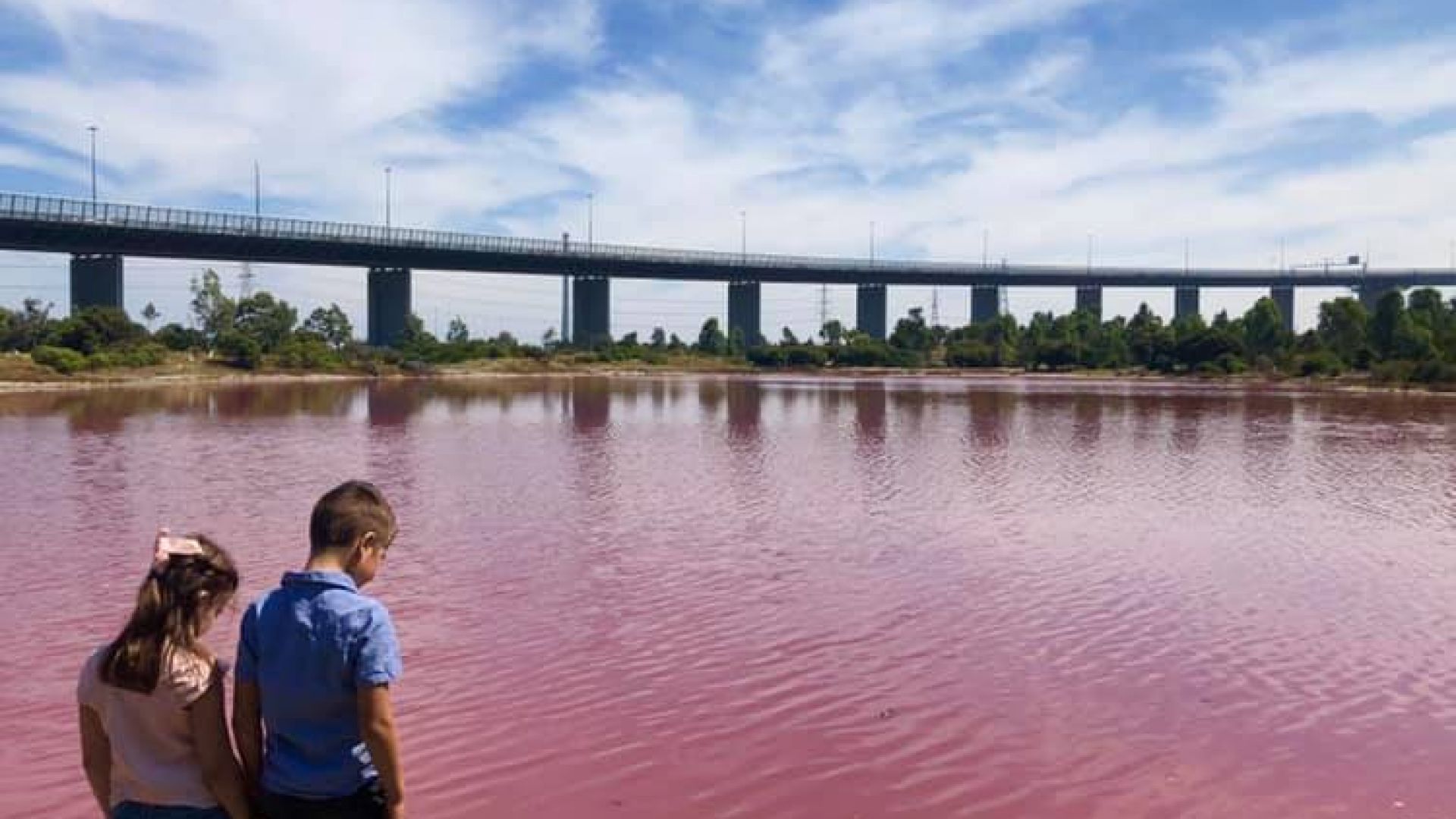 Езерото в парка Уестгейт в австралийския град Мелбърн стана розово Снимки