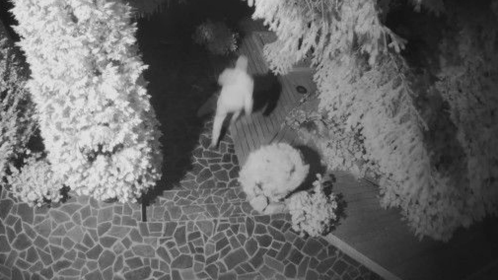 Маскиран мъж се е опитвал да влезе в дома на