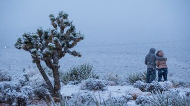 Сняг валя за пръв път от десетилетия в пустинния Лас Вегас (снимки)