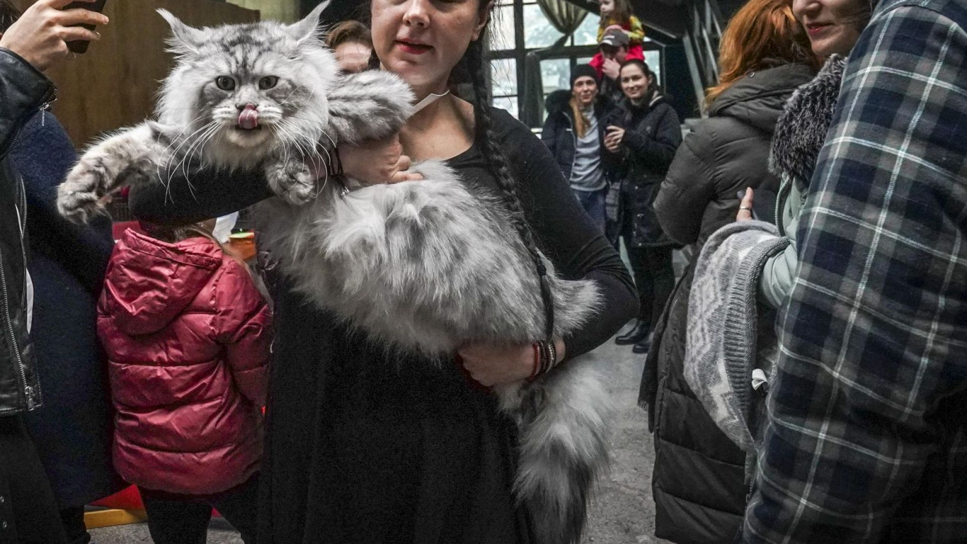 Кoд Мяу: Среща на котешкия елит в София