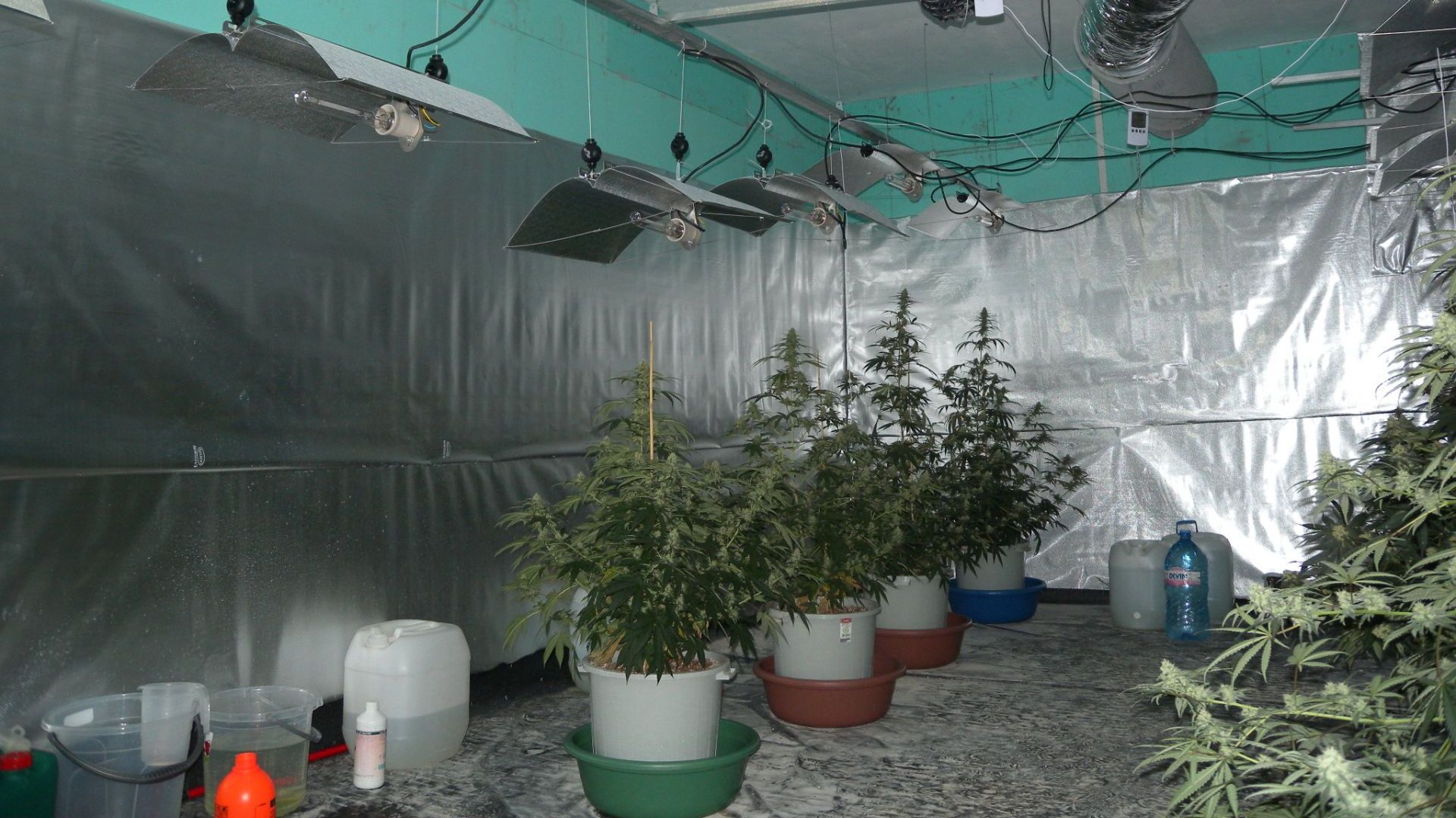 Оранжерия за производство на марихуана бе открита при специализирана полицейска