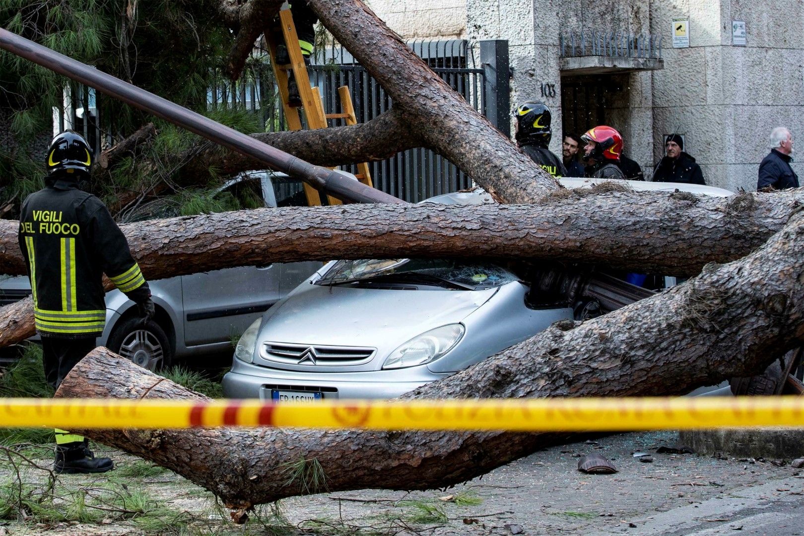 Вятърът събори дървета, които премазаха коли