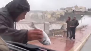 Вятър предизвика "дъжд" от риби" в Малта, а над Гибралтар едва не свали самолет (видео)
