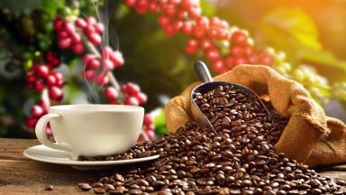 Производителите на кафе очакват загуби или как се прибира реколта в условия на пандемия