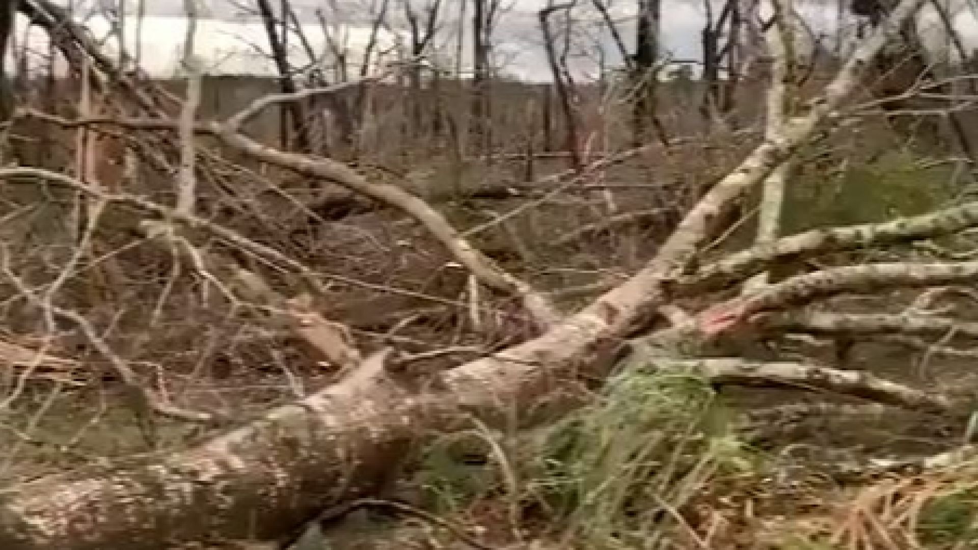 Най малко 23 души загинаха при преминаването на торнадо в окръг