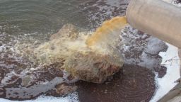 Глобиха завода за хлебна мая заради оцветени води в Дунав