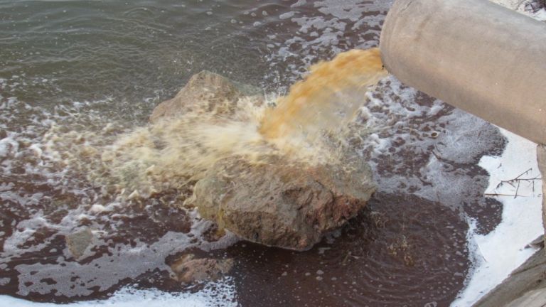Глобиха завода за хлебна мая заради оцветени води в Дунав