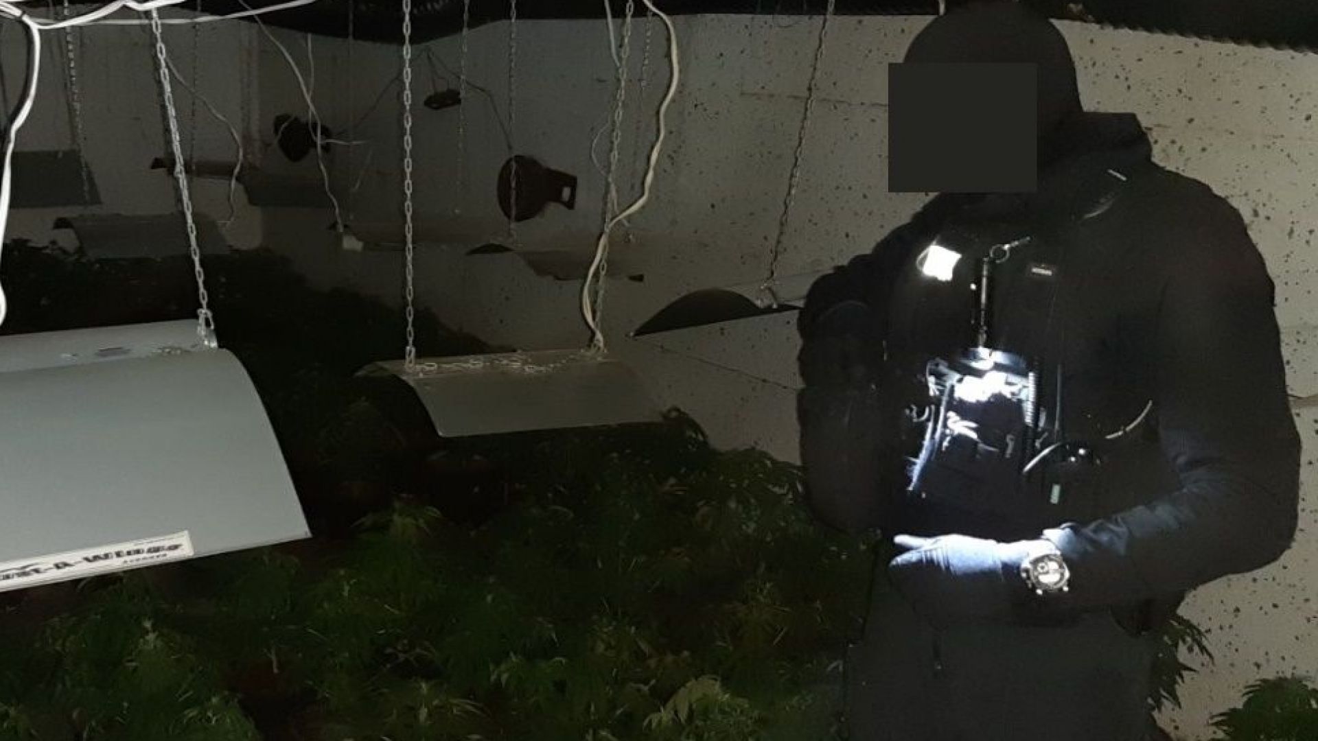 Специализираната полицейска операция на сектор Наркотици в ГДНП и Специализирани