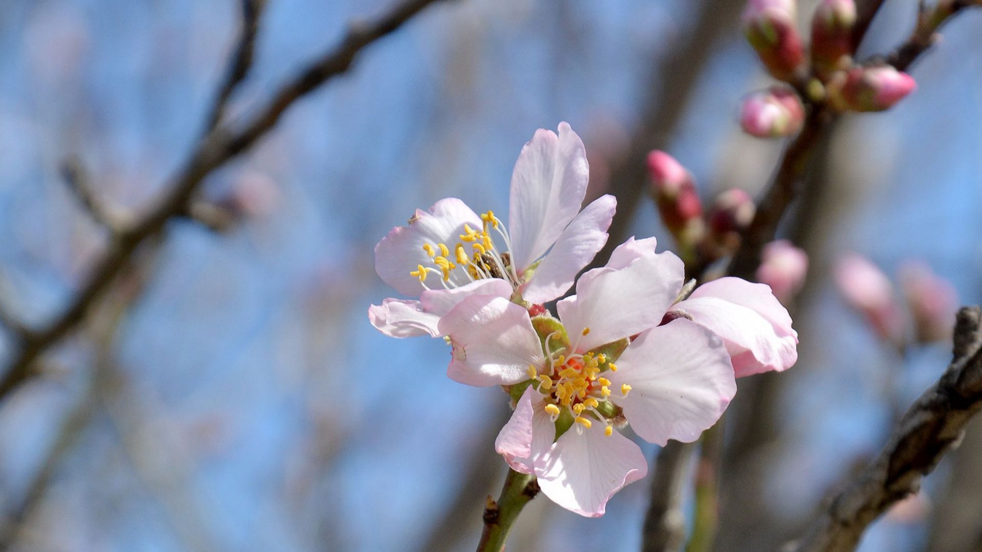 Максимална температура от 25 градуса на сянка е измерена този