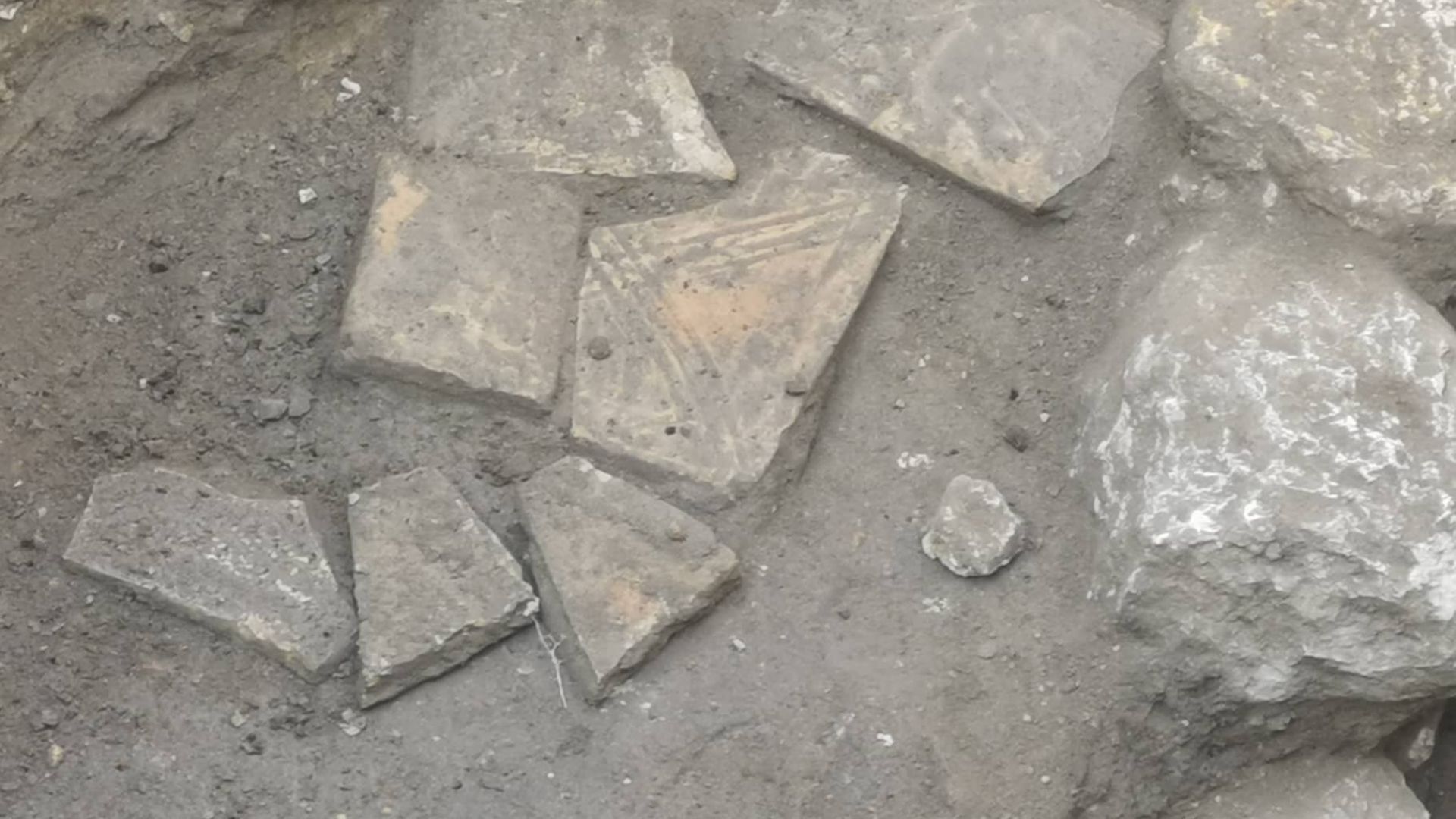 Главен асистент д р Христо Кузов разкри за Петел горещи подробности