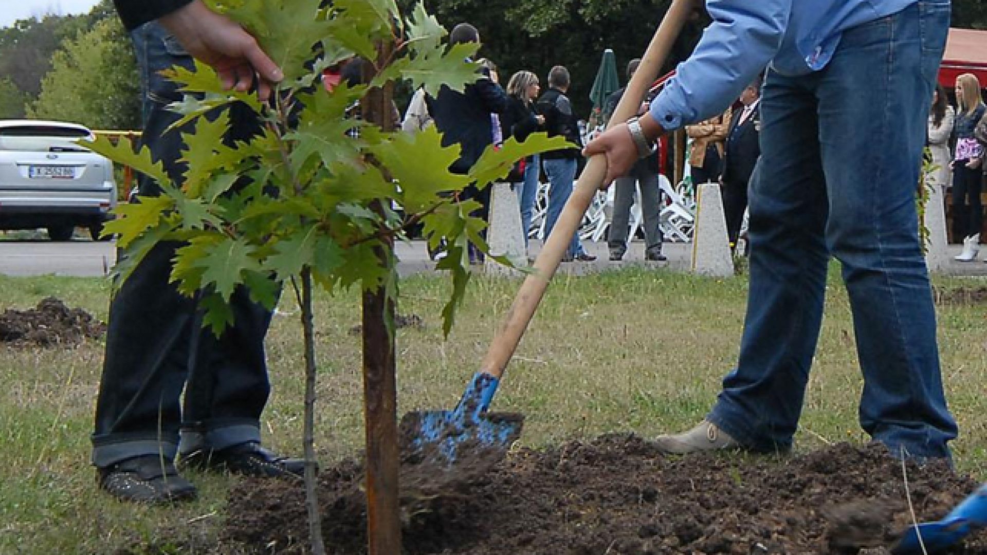 Акция за пролетно засаждане на дървета и храсти започва във