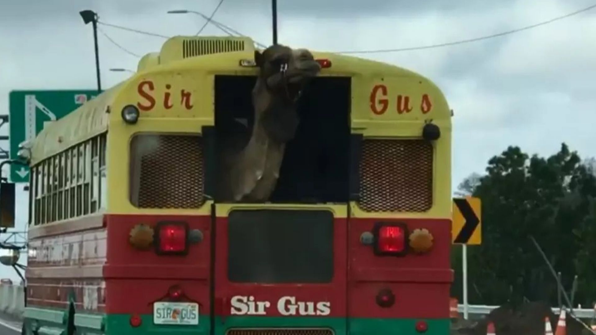 Водещият в американския телевизионен канал WKMG TV Мат Остин и неговото