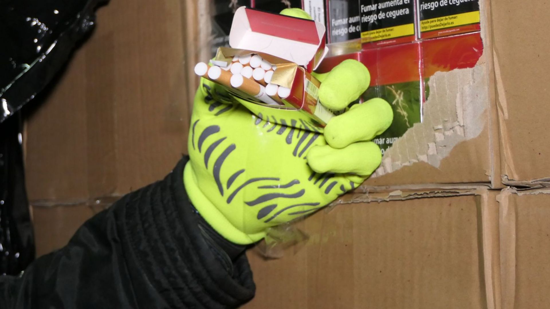 Голямо количество контрабандни цигари иззеха служители на ГДБОП при спецоперация