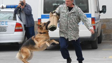 Полицейски кучета влизат в зрелищна акция в Пловдив