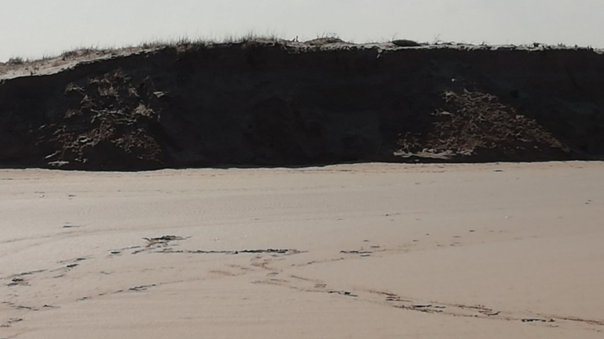 Едно от защитените местообитания на редки видове птици от международно