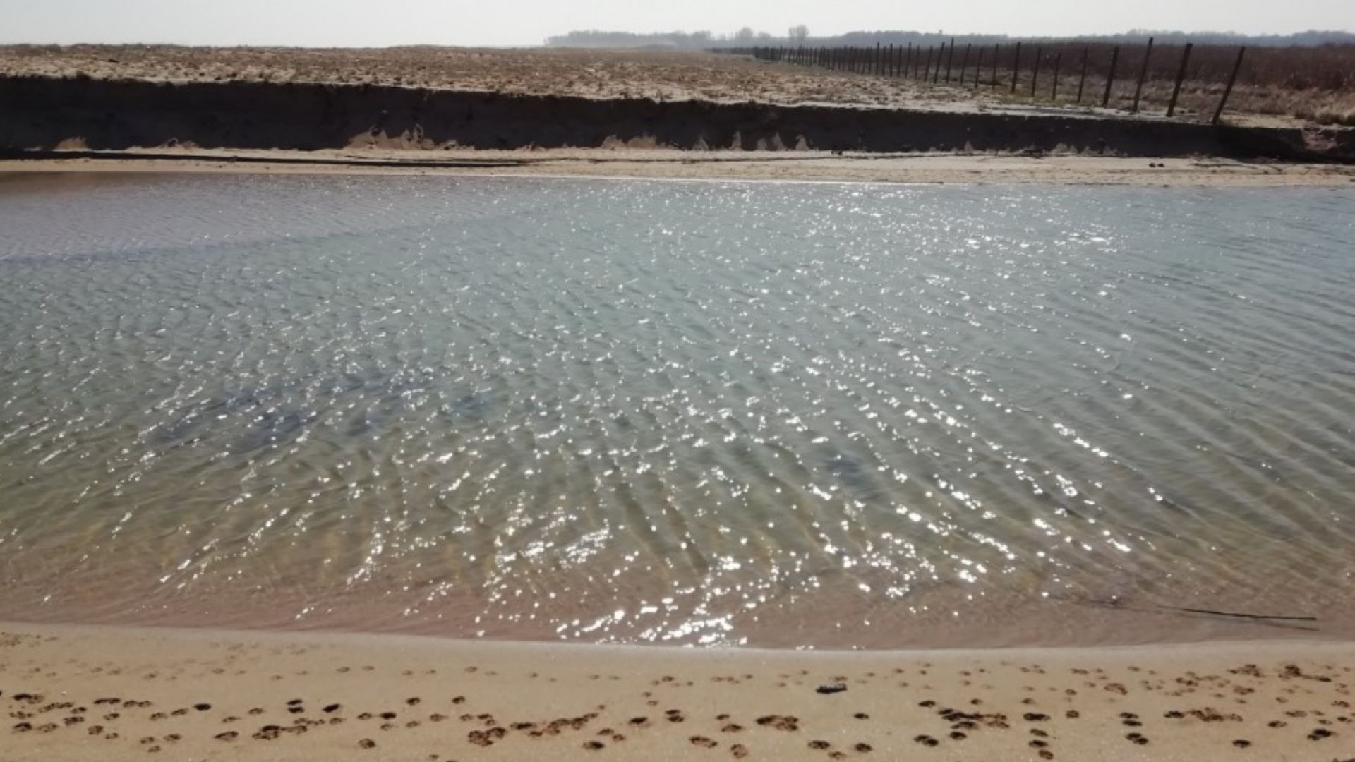 Министърът на околната среда и водите Нено Димов заминава за