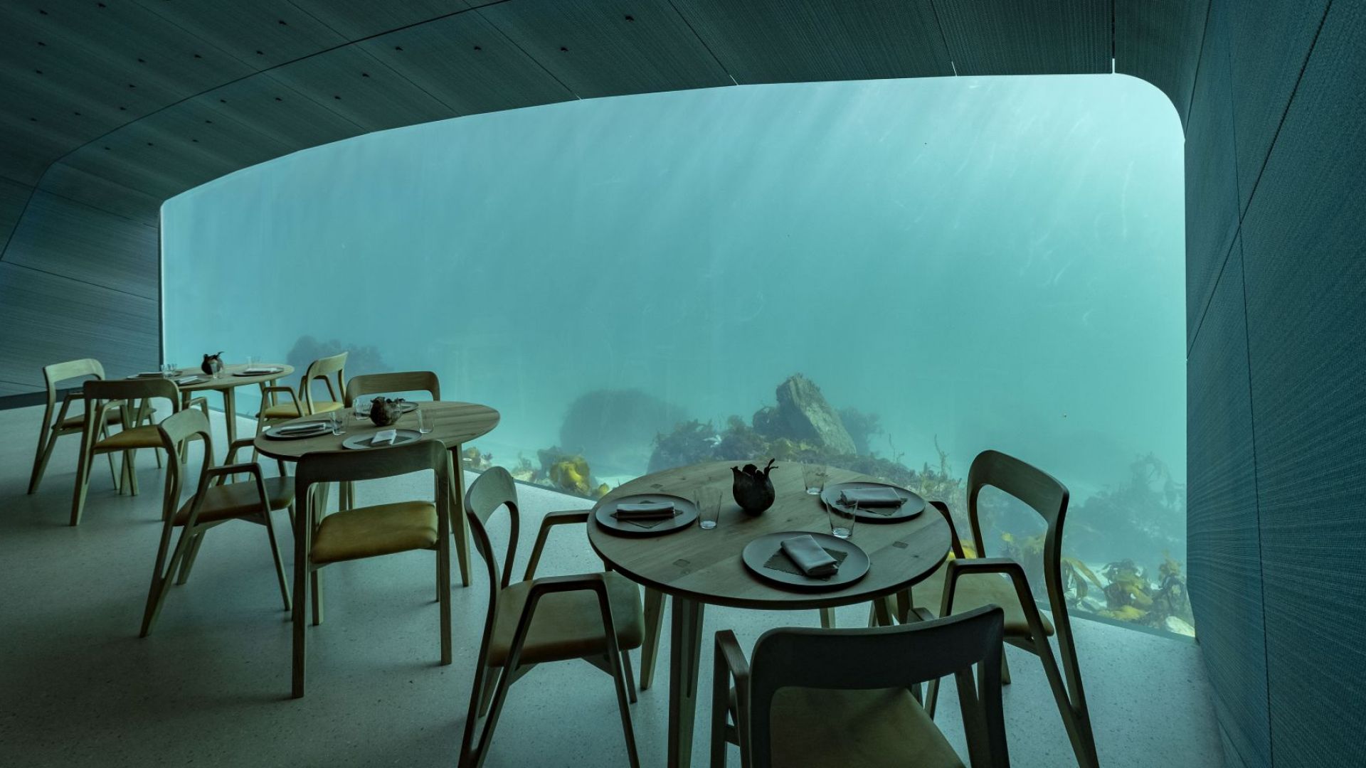 Подводен ресторант беше открит в Северно море край южния норвежки
