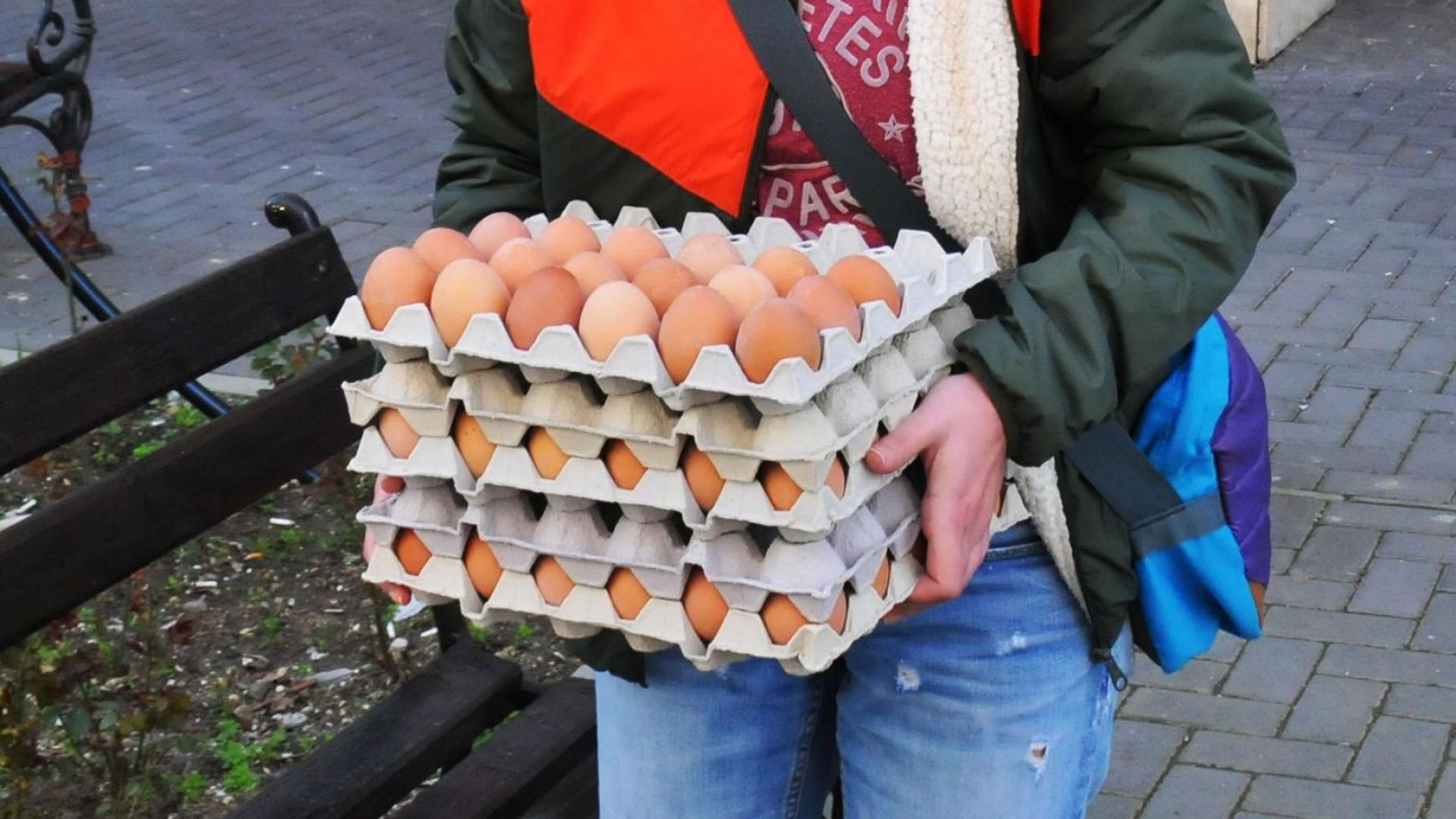 Гръцките власти разкрили незаконен внос на яйца от България