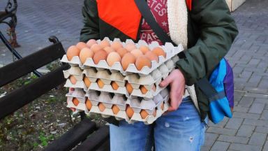 Преди Великден цената на яйцата тръгна нагоре