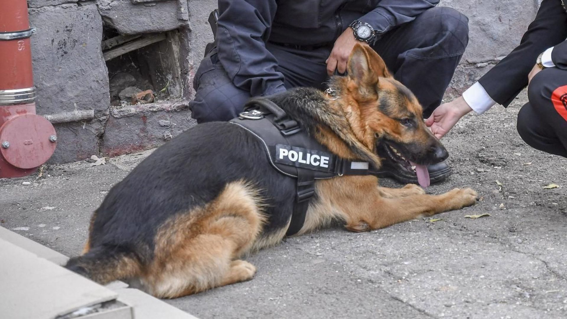 Изгубилото се дете в сливенската планина по време на