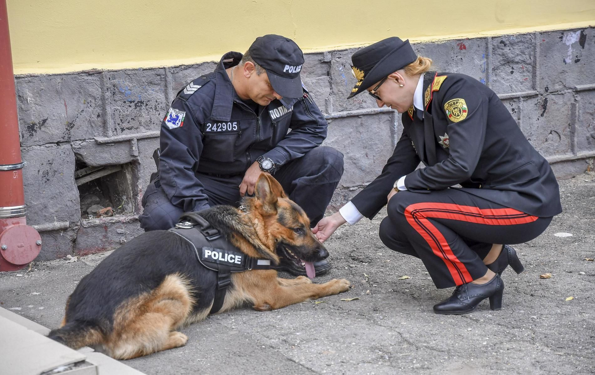 Полицейски кучета хванали следите на момчето
